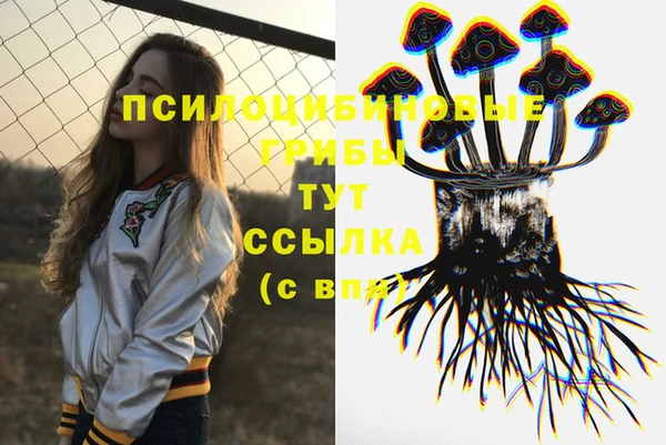 не бодяженный Алексин