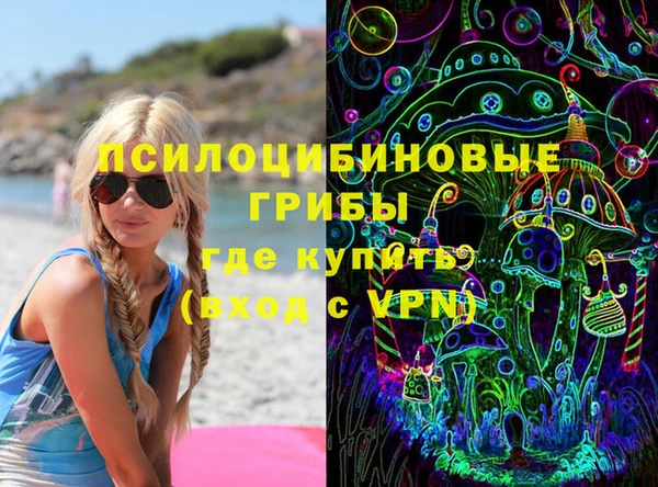 не бодяженный Алексин